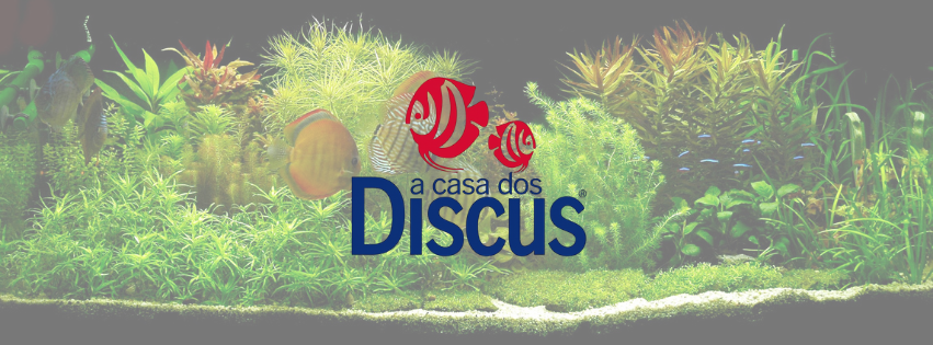Foto da capa de A Casa dos Discus